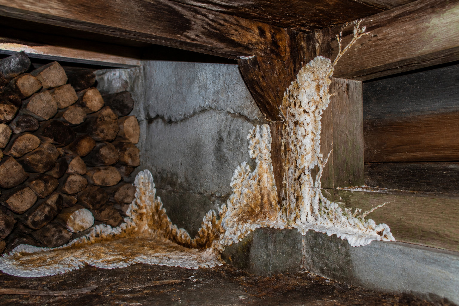 Les dangers d'un stock contaminé pour votre habitation